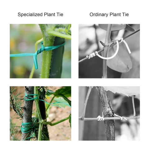Two Pack 492Ft Garden Twist Ties With Built In Cutter No Fuss, Rustproof Green PVC Coated ties vs ordinary ties on plants