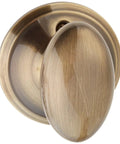 Door Knob With Wakefield Trim Privacy Lock For Bedroom And Bath, Aged Bronze Finish, Easy Install With Self Aligning Screws