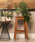 Wooden plant stand with Mini 1 Inch Swivel Threaded Stem Casters M6x15mm, TPE wheels, chrome steel frame, 99 lb capacity