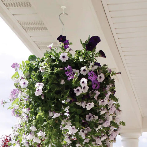 Jumbo Swag Hook With Hardware White Enamel, Heavy Duty Wall Hook For Coats Hats Bags and More, hanging a plant basket