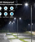 Beefy 300W LED Parking Lot Light With Photocell Outdoor Dimmable Pole Light illuminating a wet parking lot at night
