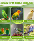 Image showcasing various small birds: parakeet, sun parakeet, cockatiel, lovebirds, monk parakeet, and budgerigar.