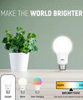 Bright Daylight 5000K A19 LED Bulbs, 800 Lumens, 9-Watt, E26 Base, next to potted plant on wooden table