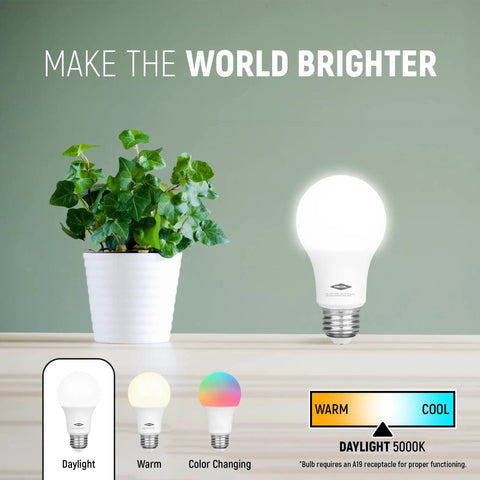 Bright Daylight 5000K A19 LED Bulbs, 800 Lumens, 9-Watt, E26 Base, next to potted plant on wooden table
