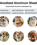 Anodized aluminum sheet features animal nameplate tags and benefits like personalization and scratch resistance.