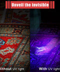Comparison of a rug without and with a UV black light showing hidden stains, showcasing 4 Pack UV Black Light Pen Lights for Urine Leaks and Stain Detection.