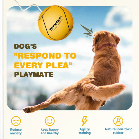 Golden retriever playing with yellow Ultimate Tetherball Set With Ball, Rope And Carabiner For Backyard Fun outside.