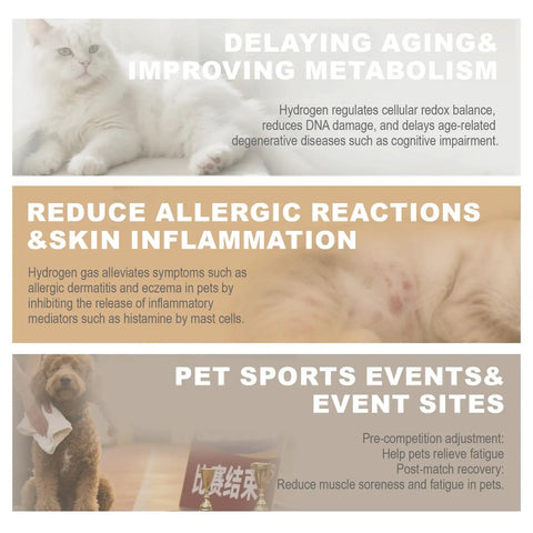 Pet Hydrogen Oxygen Inhalation Box For Cats And Dogs, promotional image highlighting health benefits for pets
