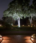 2 Pack Solar Flood Lights Outdoor Dusk To Dawn Auto On Off IP65 Waterproof illuminating garden and trees at night