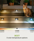 LED Recessed Step Light For Outdoor Stairway Dusk To Dawn With Motion Sensor And Photocell, 3CCT Adjustable, cat on lit stairs