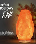 Himalayan Salt Lamp USB Powered With Touch Dimmer Natural Pink Crystal 5 To 7 Lbs Neem Wood Base LED Bulb ETL Certified