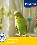 Parakeet perched near Vitakraft Crunch Sticks Variety Pack Parakeet Treats For Your Feathered Buddy 2.4 oz package