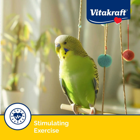 Parakeet perched near Vitakraft Crunch Sticks Variety Pack Parakeet Treats For Your Feathered Buddy 2.4 oz package