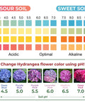 Color chart showing soil pH levels with hydrangea color changes part of Soil PH Test Kit With Upgraded 125 Strips And Measuring Cylinders For Accurate DIY Friendly Garden Lawn Grass Flower Or Vegetable PH Testing Across Compost And Dirt.