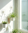 Eight Pack Of Solid White Adhesive Ceiling And Wall Hooks Delivers Zero Sweat Damage Free Mounting To Keep Your Living Area Clean While Hangin Lightweight Decor String Lights And Daily Gear holds potted plants in bright window light.