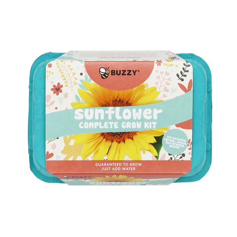 Two Pack Indoor Flower Grow Kit With Colorful Egg Cartons, Sunflower And Daisy Seeds, Eco Friendly Growing Medium