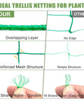 Comparison of Beefed Up Heavy Duty Garden Trellis Netting 27 strand nylon with 4x4 inch mesh versus 18 strand net for climbing plants.