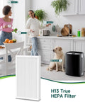 F1 Filter Replacement For 3M Filtrete Air Purifiers FAP C01BA G1 And FAP T02WA G1 2 Pack in a kitchen with family and pet