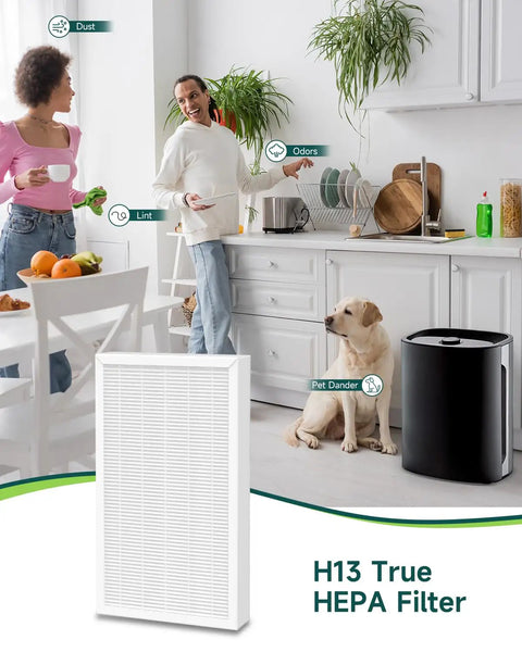 F1 Filter Replacement For 3M Filtrete Air Purifiers FAP C01BA G1 And FAP T02WA G1 2 Pack in a kitchen with family and pet