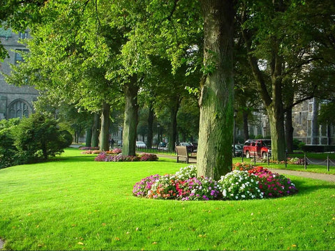 Park with green lawn, trees, and flower beds, ideal for use with 2 Gallon Handheld Sprayer With Base Large Four And A Half Inch Fill Opening