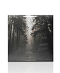 8 Pack Sublimation Ceramic Tiles 6x6 White Glossy For Heat Press Transfer Printing with forest path design, 15x15 cm