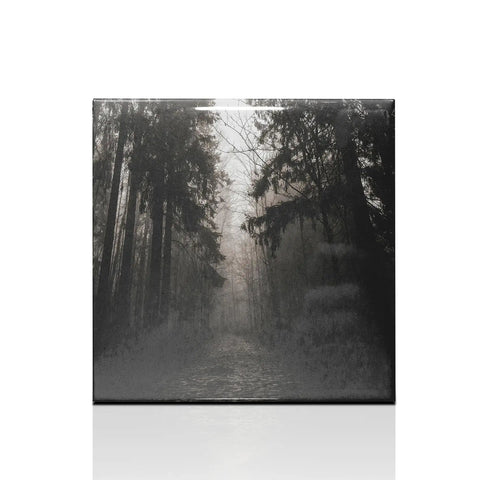 8 Pack Sublimation Ceramic Tiles 6x6 White Glossy For Heat Press Transfer Printing with forest path design, 15x15 cm