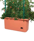 Tomato Garden Planting Grow System With A 10 Gallon Planter And A 4 Foot Trellis Tower On Wheels For Indoor Outdoor Climbing Vines