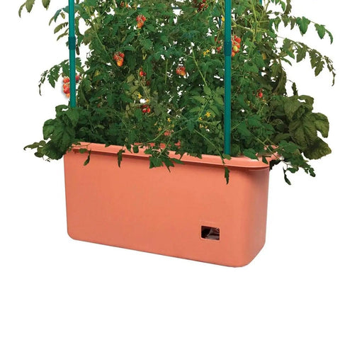 Tomato Garden Planting Grow System With A 10 Gallon Planter And A 4 Foot Trellis Tower On Wheels For Indoor Outdoor Climbing Vines