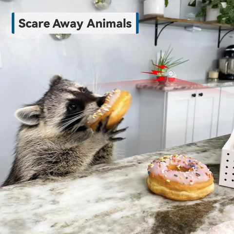 125dB Motion Sensor Alarm With Remote No Joke Loud Indoor Wireless Security Siren scaring raccoon in kitchen