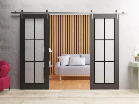 Sturdy Double Barn Door With Clear Glass Matte Black Finish installed in living room with silver rail, two 30 by 80 inch panels.
