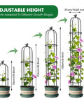 Double Pack Garden Obelisk Trellis For Climbing Plants Outdoor 6.2 Ft Support Cage shown with adjustable height options