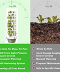 Comparison of Indoor 9 Layer Hydroponic Tower Garden Kit and traditional soil gardening after 30 days