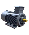 15KW 1500RPM Beefy Heavy Duty Permanent Magnet Synchronous Servo Motor With Variable Frequency Drive Adjustable Speed High Torque