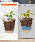 Sixty Pack 3.15 Inch Biodegradable Peat Pots With Drainage Holes For Seedlings comparison chart with and without drainage holes.
