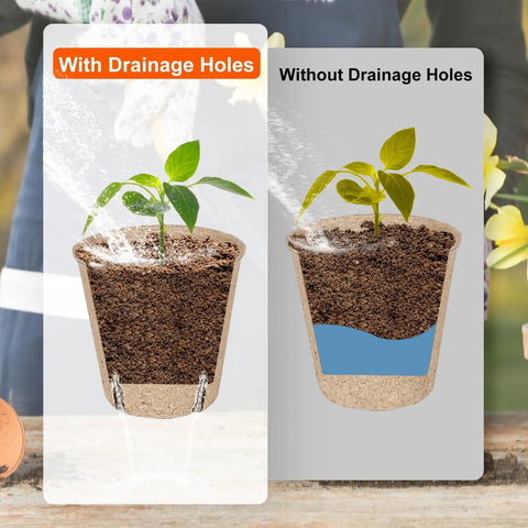 Sixty Pack 3.15 Inch Biodegradable Peat Pots With Drainage Holes For Seedlings comparison chart with and without drainage holes.