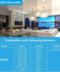 Modern living room with compatible dimmers for 4 Pack LED Downlights With Junction Box 6 Inch Recessed Ceiling Lights 14W Dimmable 100W Equivalent 1000 Lumen Warm White 3000K For General Lighting