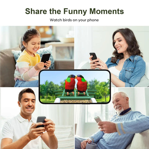 People watching birds on phones with Solar Powered Bird Feeder With Camera For Outdoor Use AI Recognition And Real Time Alerts Wireless Bird House Viewable On Your Phone Treat Birds With Fruit Or Suet And Enjoy Bird Watching From Anywhere Perfect Gift For Mom Or Dad displayed on screen.