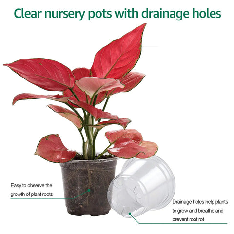 Clear 4 Inch Nursery Pots With Humidity Dome 30 Pack Reinforced Plastic Seedling Planters With Drainage Holes For Seed Starting Root Cuttings And Veggie Propagation