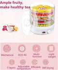 Six Tier Electric Food Dehydrator With Round Multi Layer Trays And Adjustable Temp Control For Airflow Jerky Making And Garden Drying showcasing stacked fruit layers.