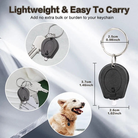Six Pack 395nm Mini UV LED Keychain Flashlight Black Light For Detections Quick Urine And Bodily Fluid Spotting ID Card And Credit Card Checks Ultra Bright 12 Lumen Ultraviolet Light attached to keys and next to a dog.