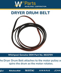 OEM Dryer Drum Belt Replacement 6 By 7 By 1 Inch Black Durable Genuine OEM Part For Smooth Tumble Drying Easy Install Works Like A Champ Fits Most Domestic Dryers High Quality Belt For Long Lasting Performance, black dryer drum belt