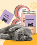 Nine Pad Cat Themed Sticky Notes Set In Pink With Super Adhesive Self Stick Notes, 3x3 Inch Memo Pads next to gray cat