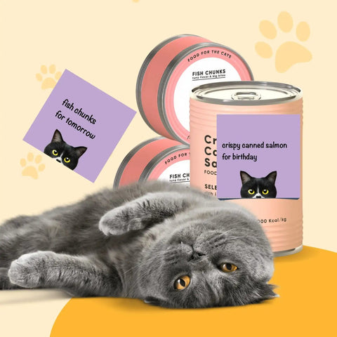 Nine Pad Cat Themed Sticky Notes Set In Pink With Super Adhesive Self Stick Notes, 3x3 Inch Memo Pads next to gray cat