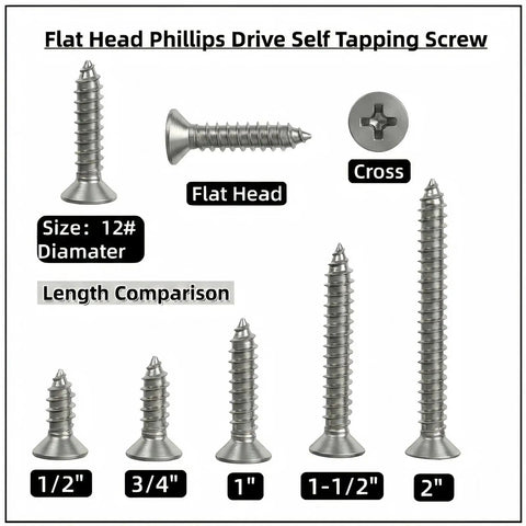 Heavy Duty Flat Head Phillips Self Tapping Screws In 304 Stainless Steel 18 8 Grade with size comparison from 1/2" to 2".