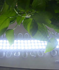 Ultra Bright 110V 3 LED Module 2835 White Light With 120 To 150 Lm Per Module Waterproof Peel And Stick Adhesive Back lit plant leaves