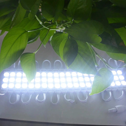 Ultra Bright 110V 3 LED Module 2835 White Light With 120 To 150 Lm Per Module Waterproof Peel And Stick Adhesive Back lit plant leaves