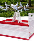 Racing Pigeon Carrier Box For Bird Training With Two Side Doors And Two Top Doors Injection Molded Plastic Cage
