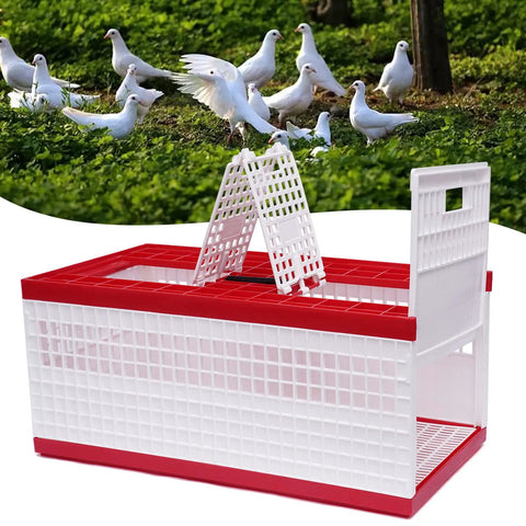 Racing Pigeon Carrier Box For Bird Training With Two Side Doors And Two Top Doors Injection Molded Plastic Cage