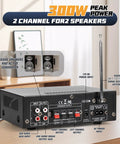 Back view of Powerful 300W Stereo Amplifier System with Bluetooth 5.0, connections for home audio and karaoke, antenna visible