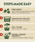 All In One Bonsai Starter Kit For Plant Lovers Grow Four Bonsai Trees At Home With Four Pots Soil Pellets Markers Seed Packets And A Full Tool Set steps guide